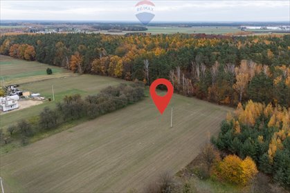 działka na sprzedaż 3000m2 działka Załuski, Wiejska