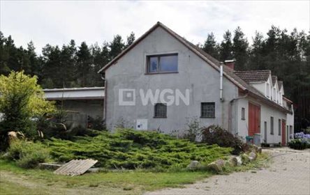 lokal użytkowy na wynajem 1000m2 lokal użytkowy Lubogoszcz, Lubogoszcz