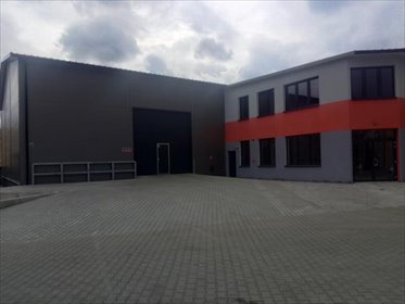 lokal użytkowy na wynajem 1340m2 lokal użytkowy miński