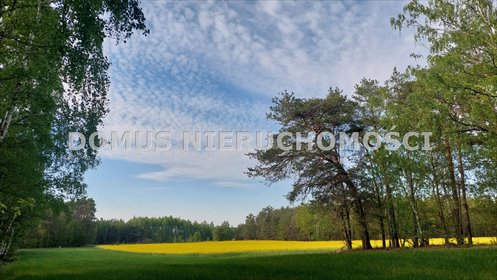 Sprzedam działkę 3511 m² z MPZP pod zabudowę zagrodową działka Grzmiąca
