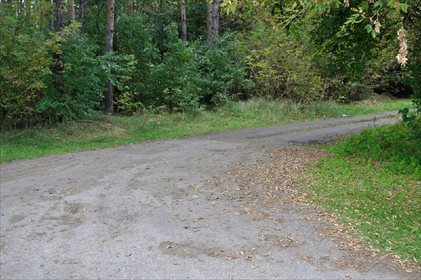 Działka rolna na sprzedaż Bibiampol 1 500m2 Foto 1