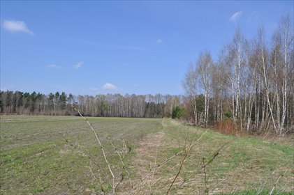 działka na sprzedaż 15168m2 działka Lesznowola, Magiczna