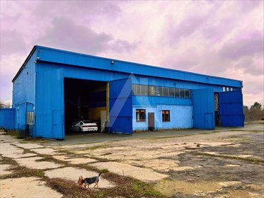 Magazyn na wynajem Brzoza 650m2 Foto 7