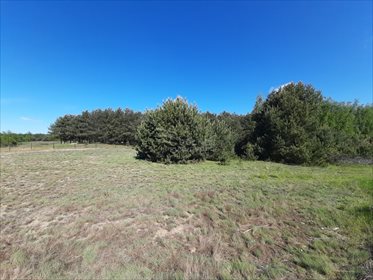 Działka inwestycyjna na sprzedaż Praga 14 000m2 Foto 2