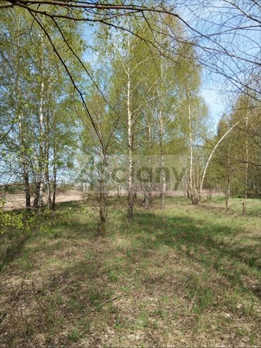 Teren inwestycyjny 1,6 ha z planem budowy zapraszam działka Jasienica