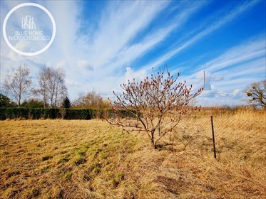 działka na sprzedaż 3000m2 działka Wereszcze Małe