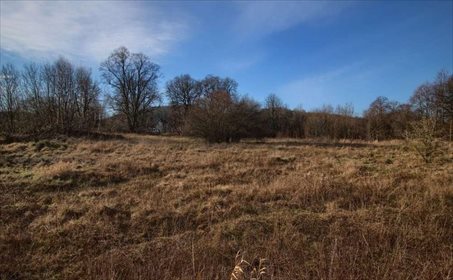 Działka inwestycyjna na sprzedaż Czymanowo 31 887m2 Foto 6