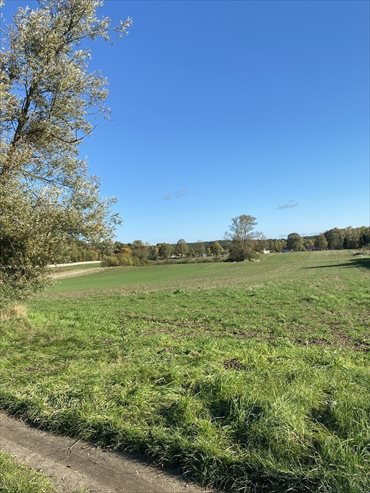 działka na sprzedaż 3015m2 działka Rzęskowo