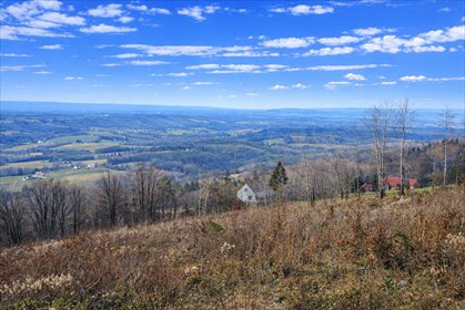 działka na sprzedaż 18551m2 działka Wola Lubecka