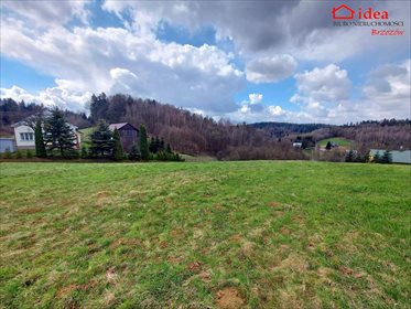 działka na sprzedaż 4500m2 działka Brzozów