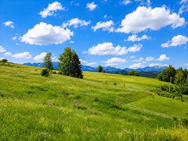 Widokowa działka pod zabudowę z Tatrami w Rzepiskach działka Rzepiska, Potok Bryjów