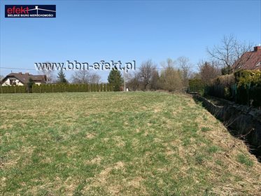 Działka budowlana na sprzedaż Biery 2 573m2 Foto 3