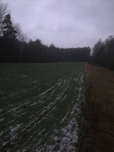 działka na sprzedaż 5900m2 działka Godziesze Wielkie, Saczyn