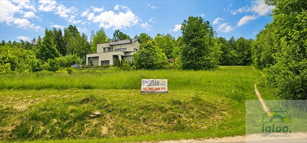 Działka 3800 m² z mediami, podział, blisko Kielc działka Mąchocice-Scholasteria