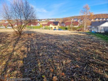 działka na sprzedaż 2400m2 działka Łuczyce