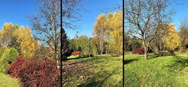 Dom na sprzedaż Orzesze, Zawiść, Pasieki 150m2 Foto 4