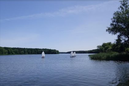 Działka siedliskowa na sprzedaż Międzylesie, Rogoźno 15 794m2 Foto 3