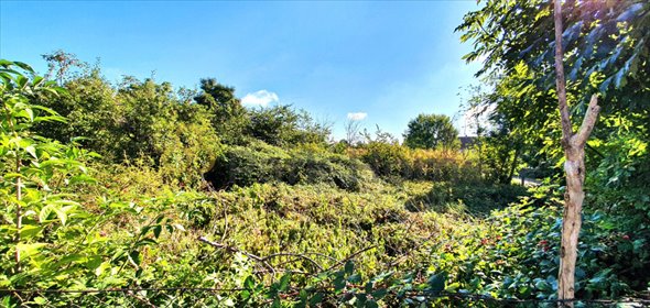 Działka budowlana 794 m² w centrum Starej Góry działka Stara Góra