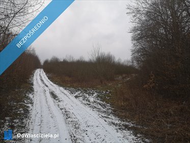 działka na sprzedaż 4853m2 działka Pręgowo, Pręgowo Górne