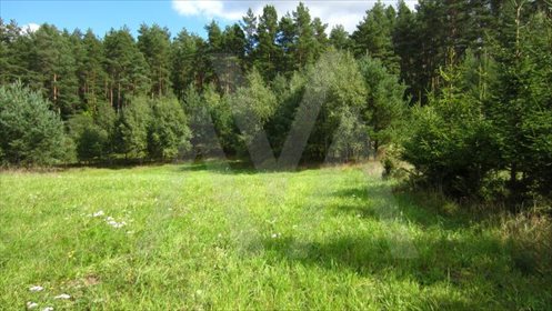 Działka siedliskowa na sprzedaż Pawłowo, Xxx 28 911m2 Foto 5