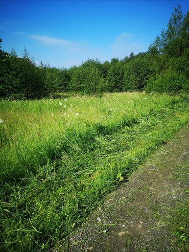 Na sprzedaż widokowa działka 86 arów z rzeką i górami działka Bystrzyca Kłodzka, Gorzanów