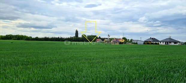 działka na sprzedaż 1227m2 działka Bielawki