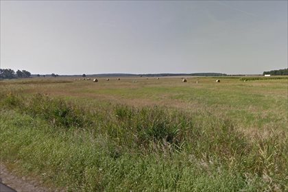 Działka budowlana na sprzedaż Trzcielin, Dopiewo 24 400m2 Foto 1