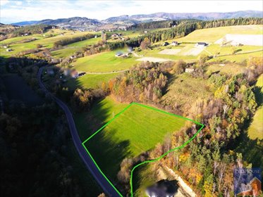 działka na sprzedaż 10000m2 działka Kanina