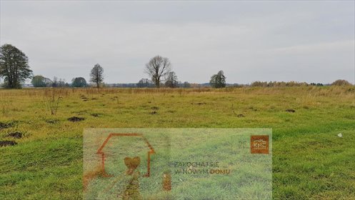 działka na sprzedaż 1330m2 działka Samoklęski-Kolonia Pierwsza