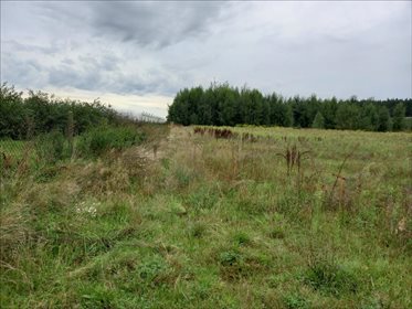 Działka rolna na sprzedaż Promna-Kolonia, Promna 11 400m2 Foto 5