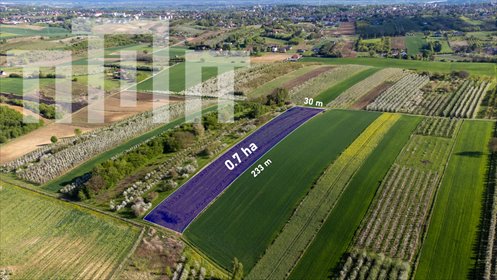 działka na sprzedaż 7000m2 działka Sandomierz