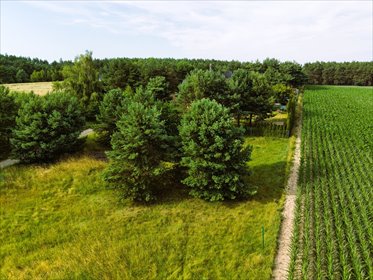 Gotowa pod budowę! Działka 1100 m² z MPZP działka Kopanki, Osiedle Przylesie