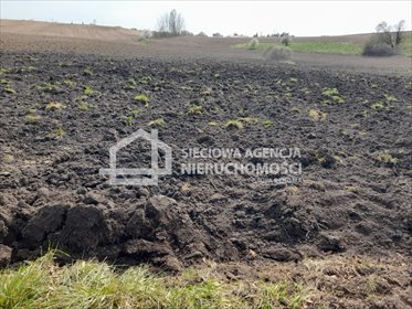Do sprzedania działka 1000 m² w Żukowie z warunkami zabudowy działka Żukowo
