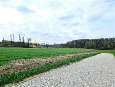 działka na sprzedaż 6941m2 działka Konarskie