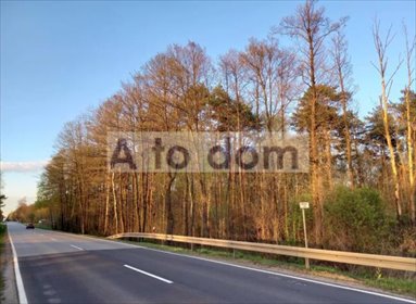 działka na sprzedaż 21000m2 działka Kąty Czernickie