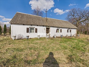 Działka 1430 m² z zabudowaniami do rozbiórki, inwestycja działka Rysiny-Kolonia