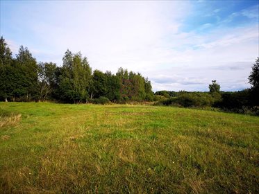 Działka rolna na sprzedaż Kosewo, Nasielsk 2 000m2 Foto 5