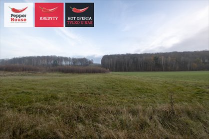 działka na sprzedaż 2995m2 działka Trzepowo, Cystersów