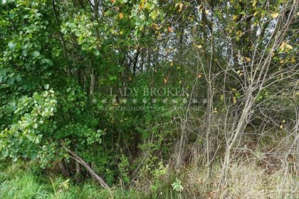 działka na sprzedaż 3521m2 działka Błażowa Dolna