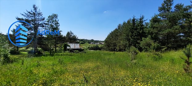 Działka rolna na sprzedaż Rybniki 6 410m2 Foto 1