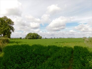Działka rolna na sprzedaż Szczepanki 91 700m2 Foto 1