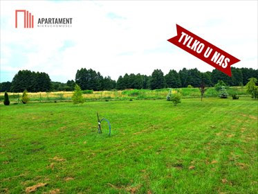 działka na sprzedaż 3140m2 działka Cisiny