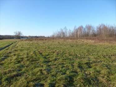 Działka rolna na sprzedaż Wielogóra, Kwiatowa 2 600m2 Foto 6