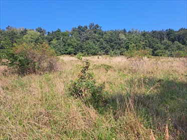 działka na sprzedaż 7283m2 działka Jaszkówka