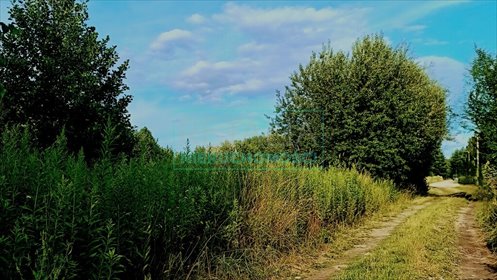 działka na sprzedaż 1500m2 działka Kozerki