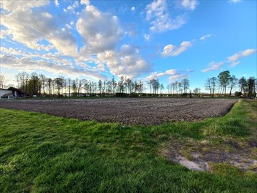 działka na sprzedaż 900m2 działka Chybie, Leśna