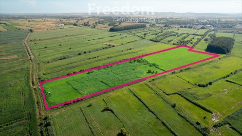 działka na sprzedaż 41500m2 działka Różyny