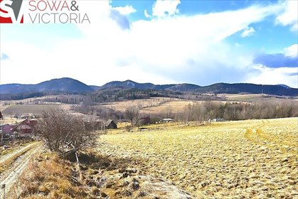 działka na sprzedaż 2460m2 działka Olszyniec