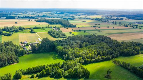 Działka inna na sprzedaż Chwaszczewo 27 254m2 Foto 3