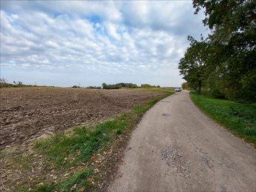 Działka rolna na sprzedaż Wierzchoniów, Kazimierz Dolny 4 400m2 Foto 5
